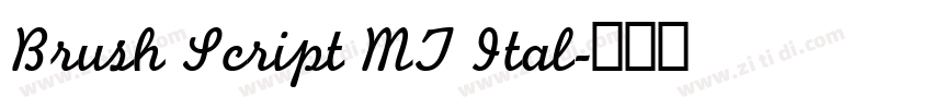 Brush Script MT Ital字体转换